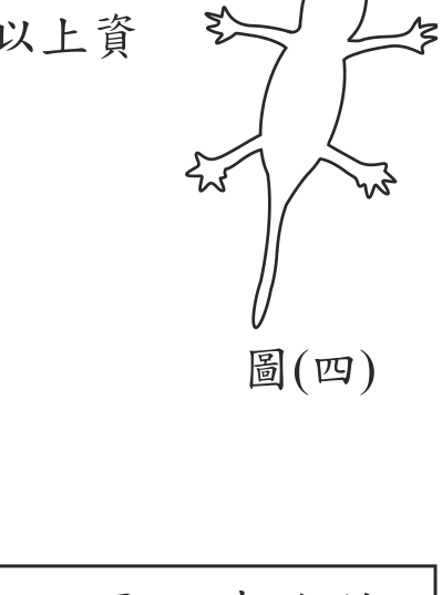 題目圖形
