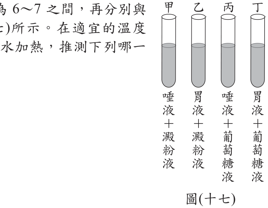 題目圖形