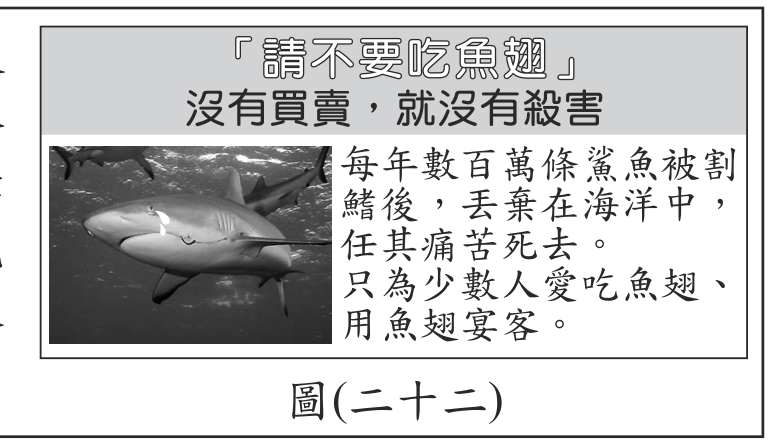 題目圖形