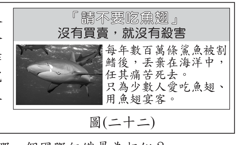 題目圖形