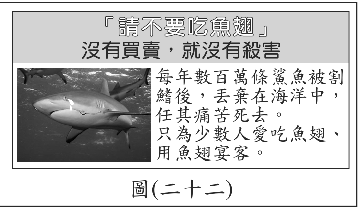 題目圖形