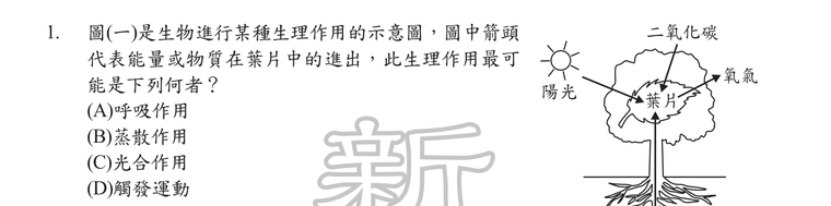 題目圖形