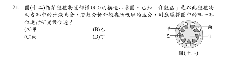 題目圖形