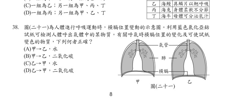 題目圖形