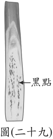 題目圖形