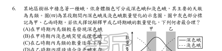 題目圖形
