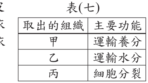 題目圖形