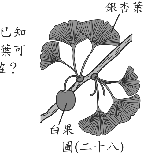 題目圖形