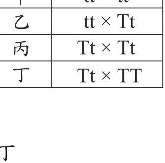 題目圖形