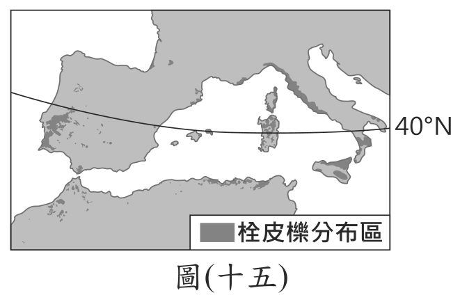 題目圖形