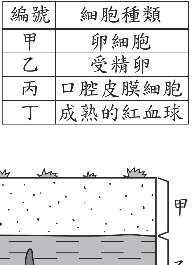 題目圖形