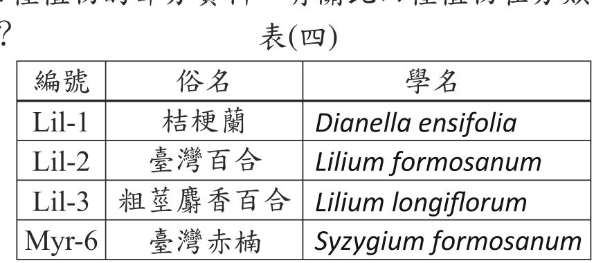 題目圖形
