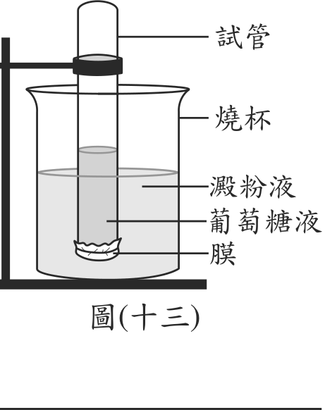 題目圖形