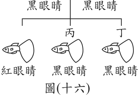 題目圖形