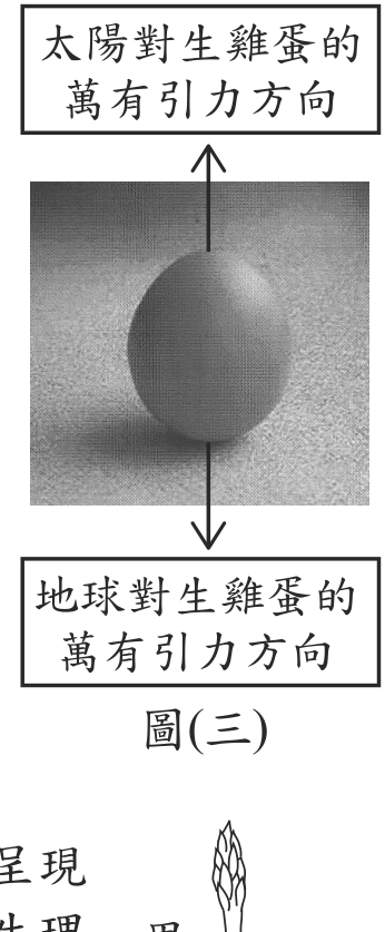 題目圖形