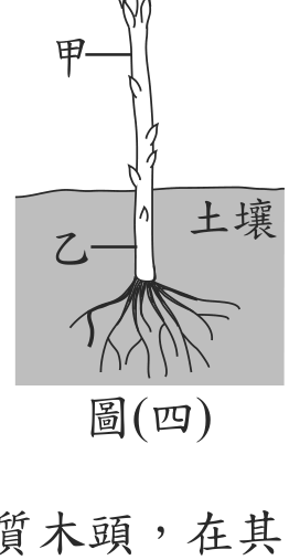 題目圖形