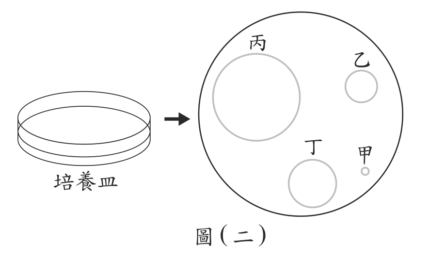 題目圖形