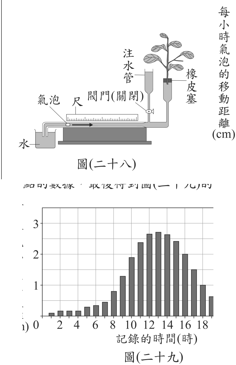 題目圖形